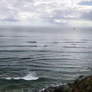 Meet your Posher, Shea